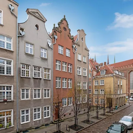 Anoli * Gdańsk